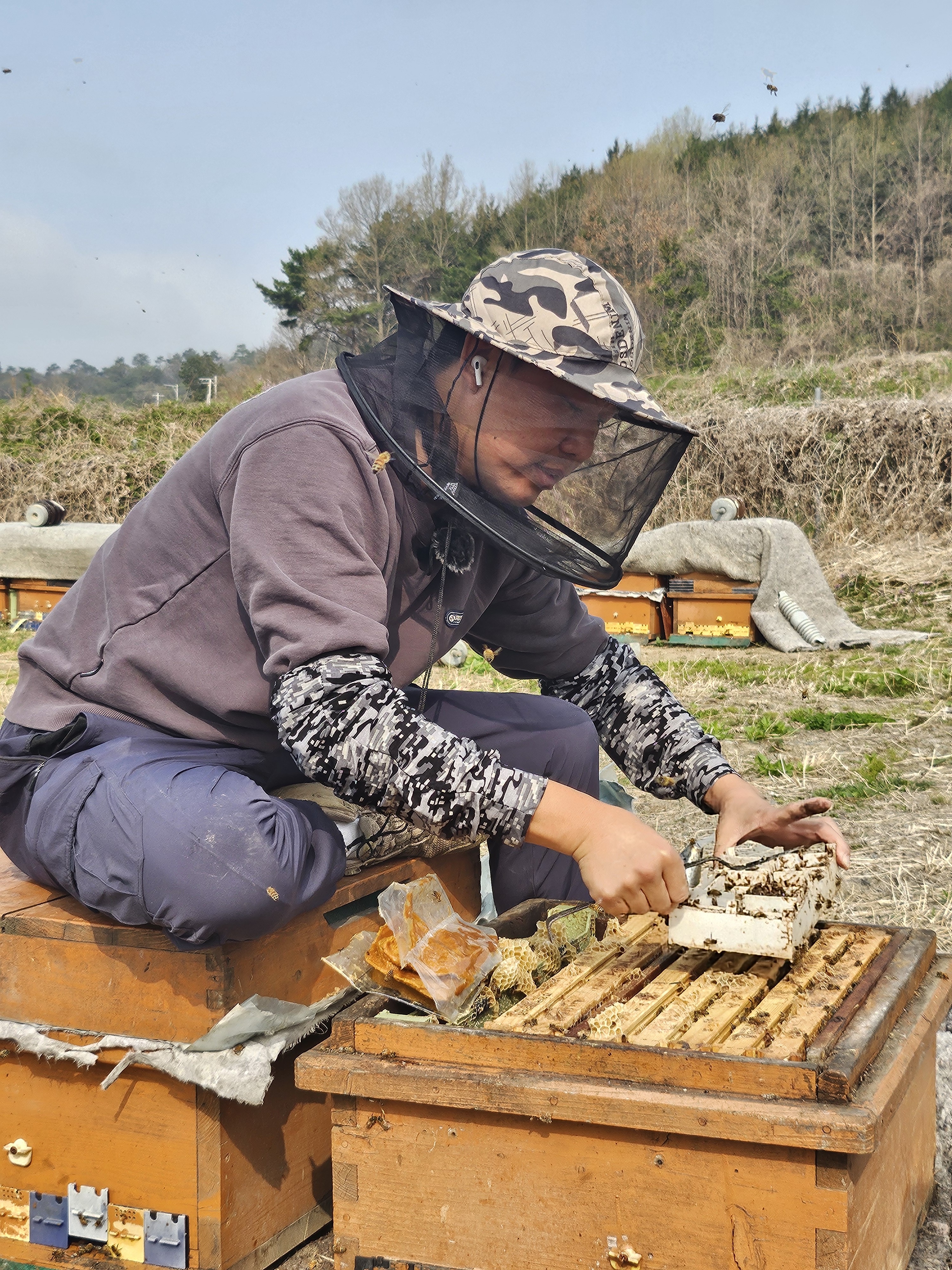 청년양봉인의 강진 귀농 일기