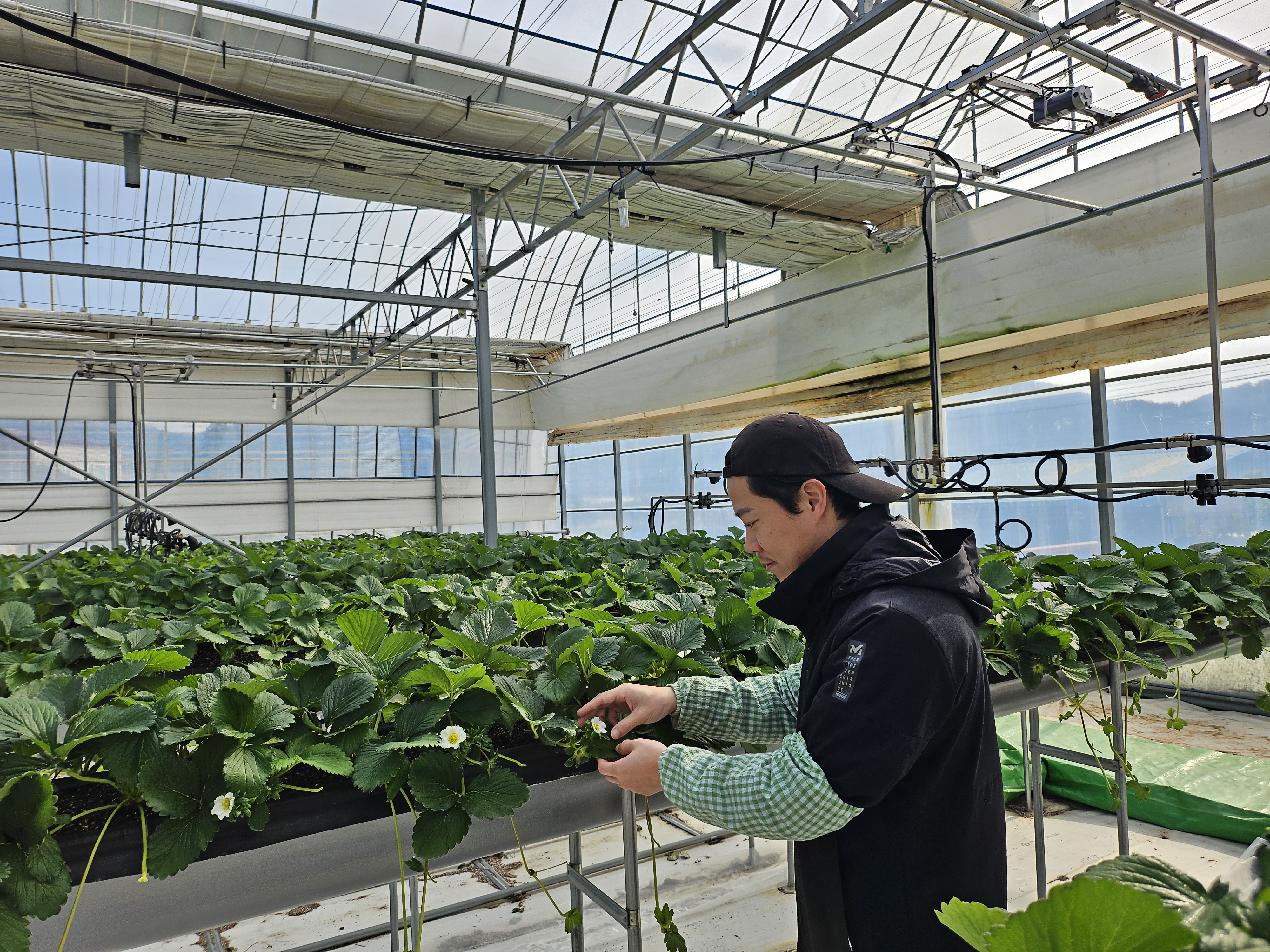 청년이 돌아오고 농촌이 살아나는  강진군 귀농 설계도