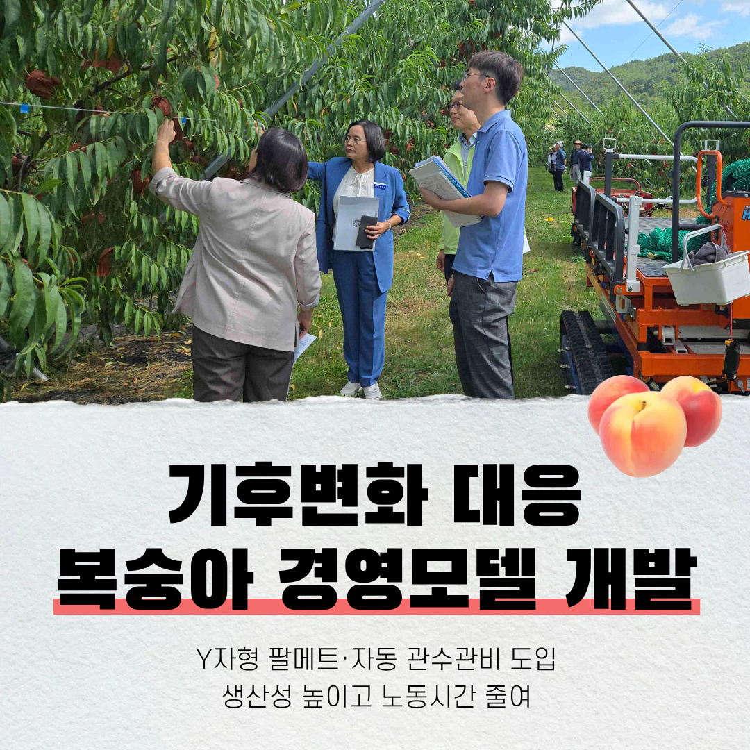 기후변화 대응 복숭아 경영모델 개발
